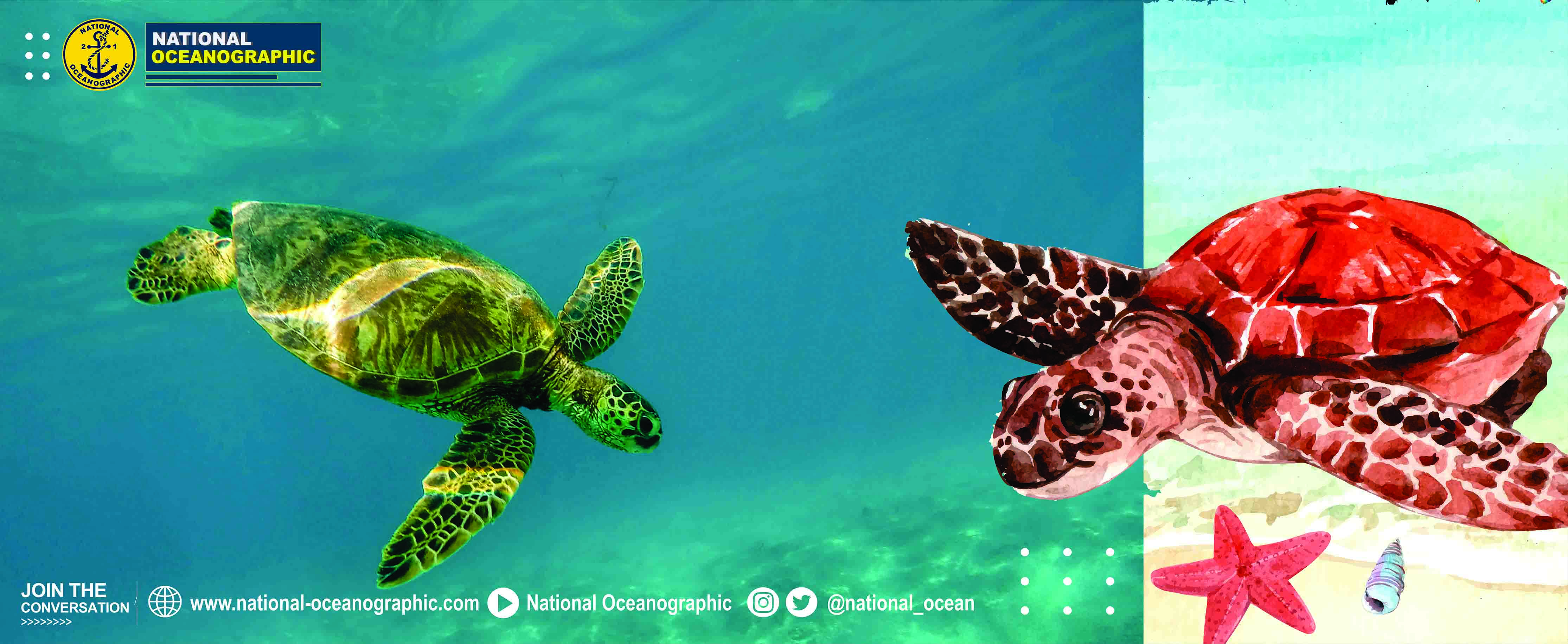 Not support to load image